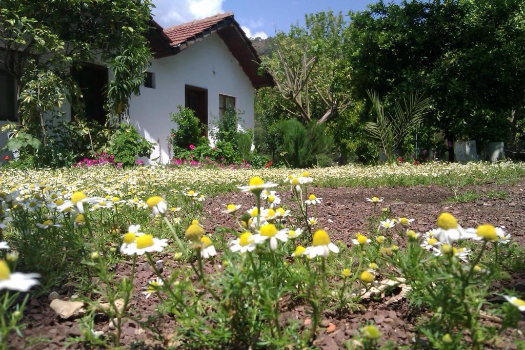 Engin Pension Çıralı Exterior foto