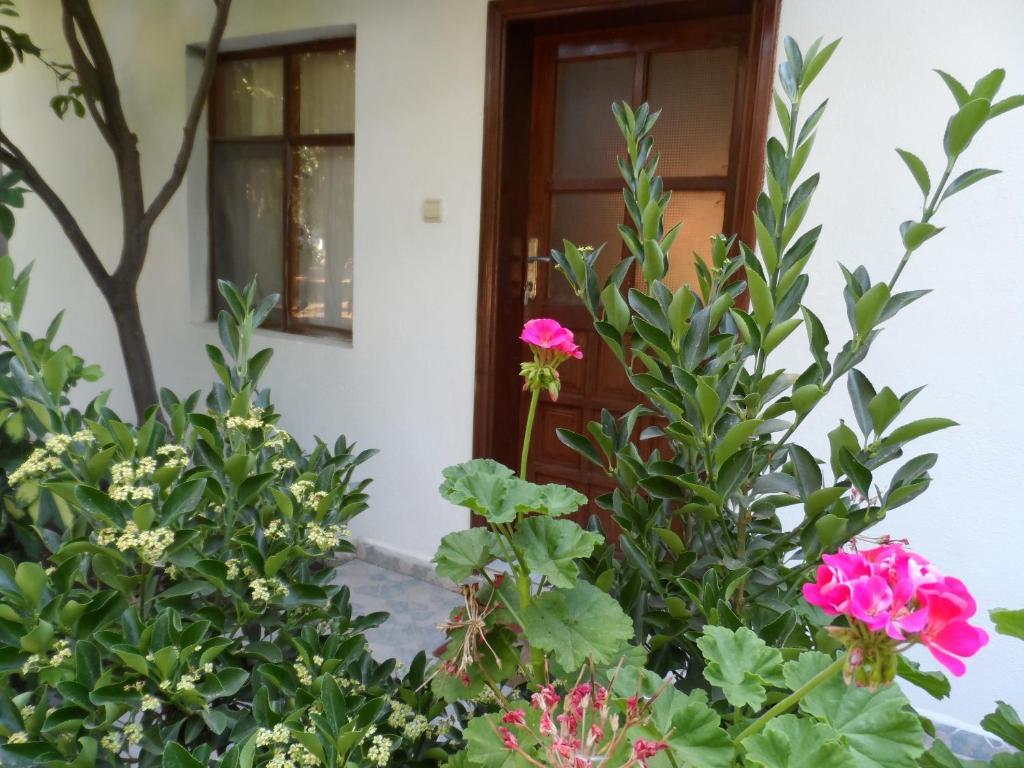 Engin Pension Çıralı Cameră foto