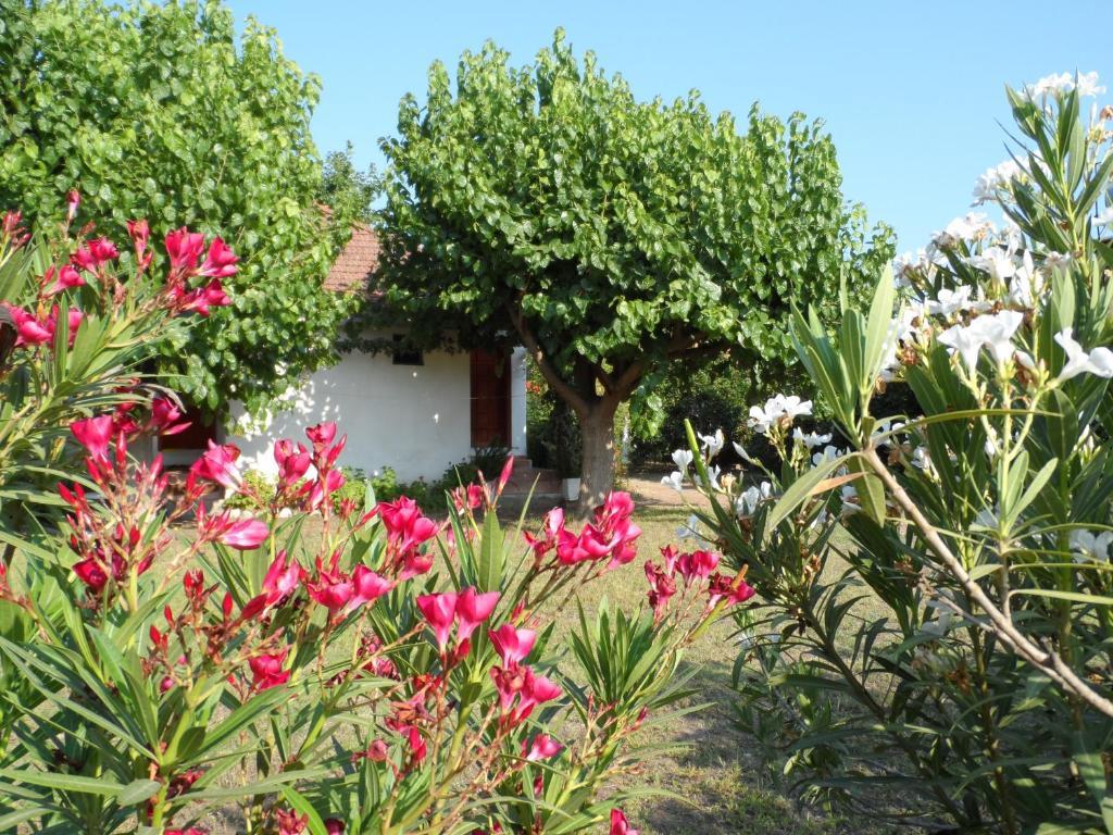 Engin Pension Çıralı Exterior foto